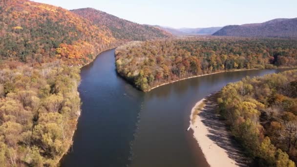 Blick Von Oben Der Zusammenfluss Zweier Flüsse Der Herbstlichen Taiga — Stockvideo