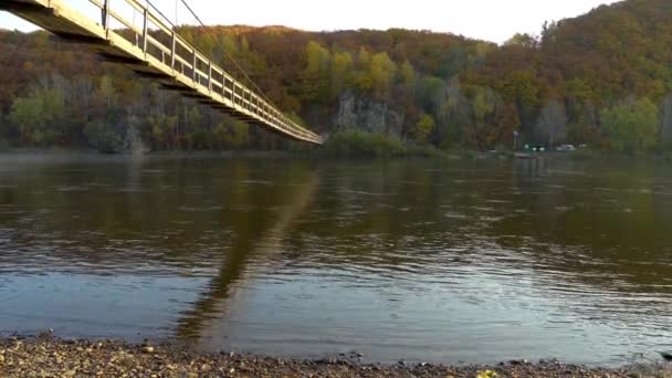 Puente Colgante Sobre Río Bolshaya Ussurka Territorio Primorsky Hermoso Río — Vídeo de stock