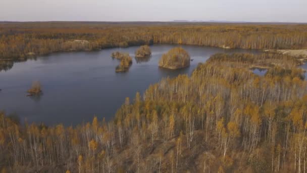 Widok Góry Kamera Lata Nad Malowniczym Jeziorem Otoczonym Jesiennym Lasem — Wideo stockowe