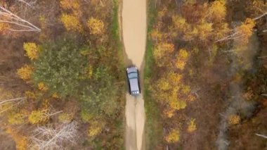 Forest Yolu. Gri yolcu vagonu, uzun sonbahar ağaçları arasında toprak bir yolda ilerliyor.