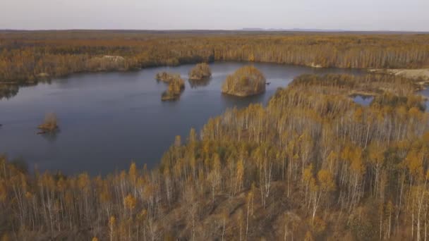 摄像机在一个环绕着秋天森林的风景如画的有毒湖泊上飞舞 采金后遗留下的尾矿 — 图库视频影像