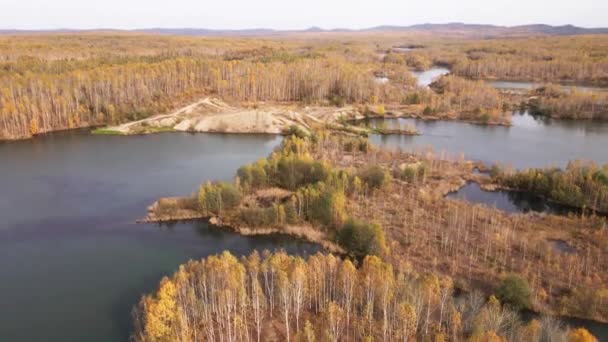 Cámara Vuela Sobre Pintoresco Lago Venenoso Rodeado Por Bosque Otoño — Vídeos de Stock