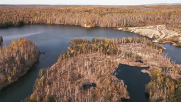 Камера Летить Над Мальовничим Отруйним Озером Оточеним Осіннім Лісом Видобуток — стокове відео