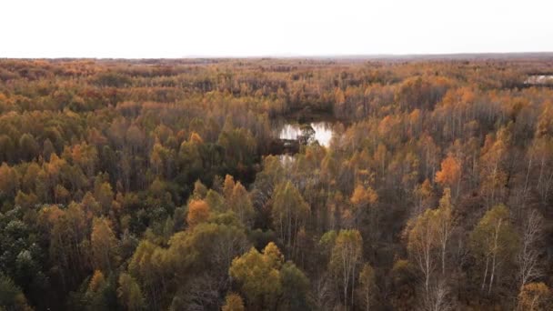 Câmera Voa Sobre Lago Venenoso Pitoresco Cercado Por Uma Floresta — Vídeo de Stock