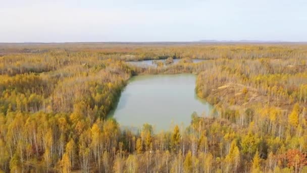 摄像机在一个环绕着秋天森林的风景如画的有毒湖泊上飞舞 采金后遗留下的尾矿 — 图库视频影像