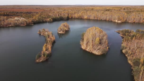 Camera Flies Picturesque Poisonous Lake Surrounded Autumn Forest Tailings Dump — Stock Video