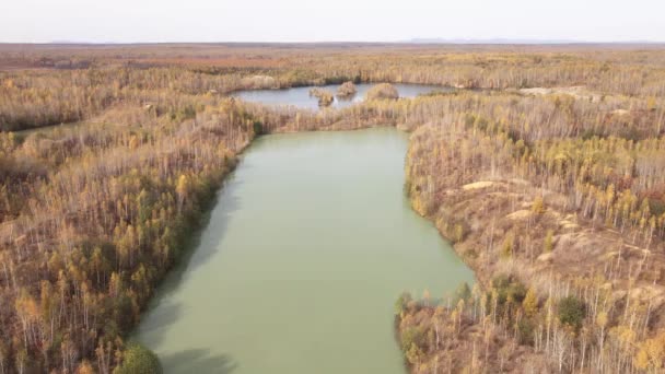 Camera Flies Picturesque Poisonous Lake Surrounded Autumn Forest Tailings Dump — Stock Video