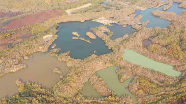 Camera Vliegt Een Schilderachtig Giftig Meer Omgeven Door Een Herfstbos — Stockvideo