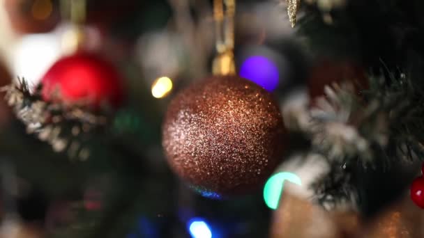 圣诞现场背景 新年的玩具 宏观射击 新年的褐色球挂在圣诞树枝头上 圣诞树上的圣诞装饰 — 图库视频影像