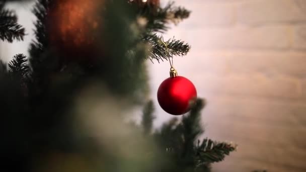Kerst Live Achtergrond Nieuwjaarsspeelgoed Rode Kerst Bal Hangend Een Aftakking — Stockvideo