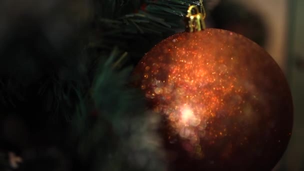 圣诞现场背景 宏观射击 走神了 勃艮第圣诞舞会挂在一棵绿树上 — 图库视频影像