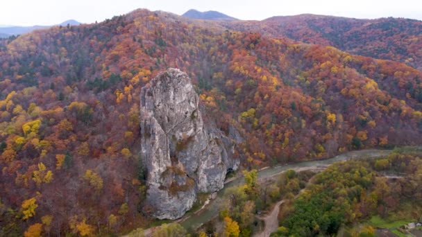 上からの眺め 海辺の地域のKavalrovo村のDersu Uzala岩 ロシアの村と明るい森を背景に 秋の季節に美しい岩 — ストック動画
