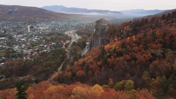 美しい秋の木々の上を飛んで 絵のように美しい崖を背景に流れています 上からの眺め プリモルスキー準州のKavalerovo村のDersu Uzala岩 — ストック動画