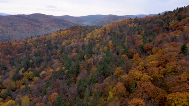 最高の眺めだ 秋の間にカラフルな木々と無限の丘 秋の木 美しい秋の森の上をカンパラが飛ぶ — ストック動画