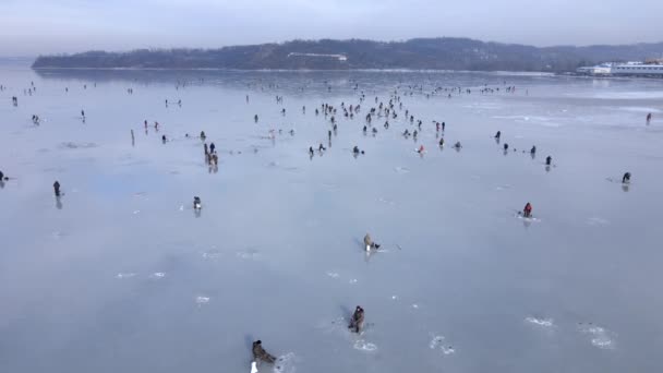 Nice Top View Many People Fish Thin Ice Amur Bay — Stock Video