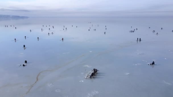 ウラジオストクのアムール湾の氷の上の冬の釣り 上からの眺め 海岸から遠く離れた薄い氷の上に群衆が腰を下ろしている — ストック動画