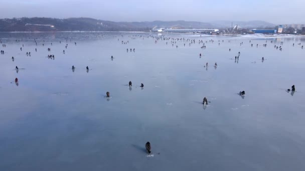 Вид Сверху Многие Люди Рыбачат Тонком Льду Амурского Залива Владивостоке — стоковое видео