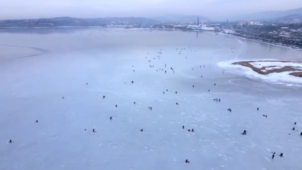 Utsikt Uppifrån Många Fiskar Isen Amur Bay Vladivostok Kameran Flyger — Stockvideo