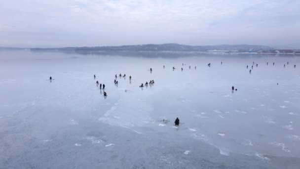 View from above. Fishermen sit on thin ice in the water area of the Amur Bay in Vladivostok. Winter fishing in Russia. Nice flat ice. — Stock Footage View Fishermen Sit Thin Ice Water Area Amur Bay Vladivostok Royalty Free Stock Footage
