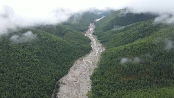Widok Góry Katastrofa Ekologiczna Strumień Zniszczony Przez Poszukiwaczy Wśród Zielonych — Wideo stockowe