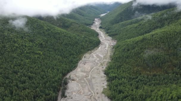 Zicht Van Bovenaf Ecologische Catastrofe Camera Vliegt Een Beek Vernietigd — Stockvideo