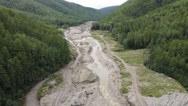 View Ecological Catastrophy Camera Flies Stream Destroyed Gold Miners Green — Stock Video