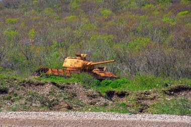 Eski paslı bir tank, deniz kıyısının yakınındaki sık otların ortasında duruyor. Terk edilmiş savaş tankı yaşlılıkla paslandı.