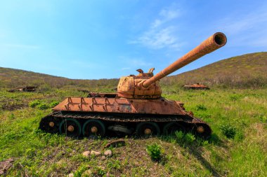 Eski paslı bir tank, deniz kıyısının yakınındaki sık otların ortasında duruyor. Terk edilmiş savaş tankı yaşlılıkla paslandı.