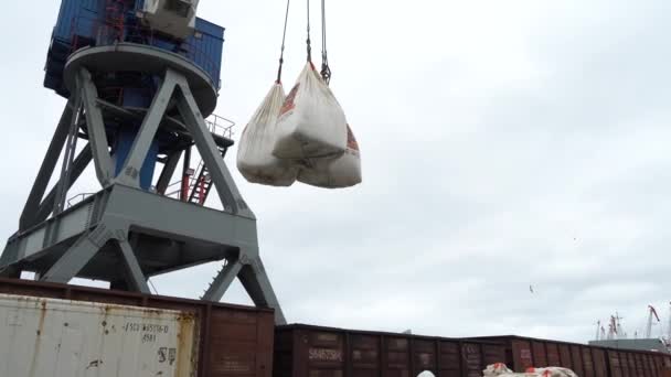 Nyár 2020 Vladivostok Oroszország Kereskedelmi Konténer Terminál Vlagyivosztokban Közelkép Egy — Stock videók