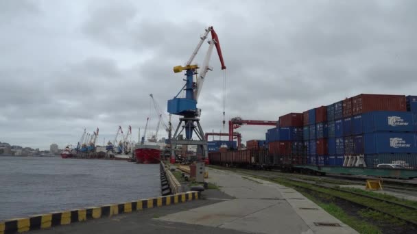 Sommar 2020 Sea Commercial Container Terminal Stor Tornkran Lossar Ett — Stockvideo