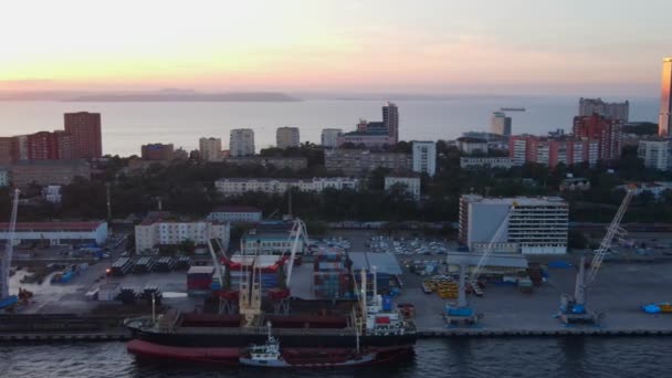 Vladivostok Commerciële Zeehaven 2020 Zomer Zicht Van Bovenaf Camera Vliegt — Stockvideo