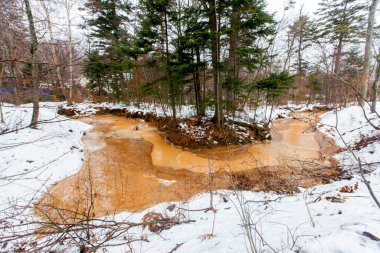 Ekolojik felaket. Kirli, kahverengi bir nehrin akıntısı ağaçların ve karla kaplı toprakların arasında ormanın içinden akar..