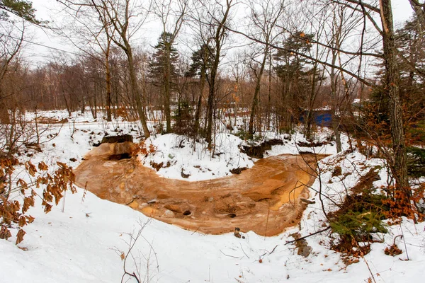 Ecological catastrophy. The stream of a dirty brown river flows through the forest among trees and snow-covered land.