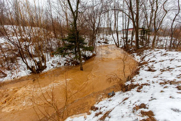 Ecological catastrophy. The stream of a dirty brown river flows through the forest among trees and snow-covered land.