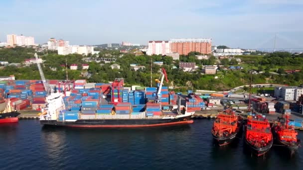 Vladivostok Rússia Verão 2020 Navios Carga Estão Parede Cais Porto — Vídeo de Stock