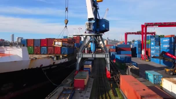 俄罗斯符拉迪沃斯托克 2020年夏天 一辆大型载重起重机将货物装载到集装箱仓库中的商船上 海参崴集装箱码头的领土 从上面看 — 图库视频影像