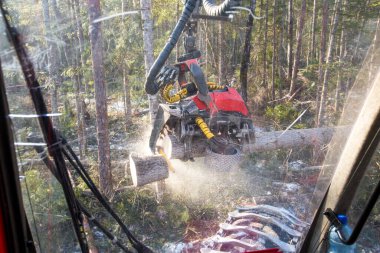 Hasat kabininden görüntü. Otomatik testere ile ormanların tahrip edilmesi