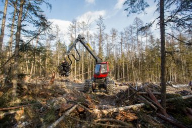 Ormanların yok edilmesi. Modern bir kırmızı hasat aracı dik bir dağ yamacında kozalaklı ağaçlar keser. Kışın taygada ağır ağaç kesme ekipmanları çalışır.