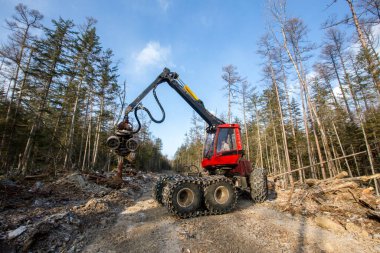 Ormanların yok edilmesi. Modern bir kırmızı hasat aracı dik bir dağ yamacında kozalaklı ağaçlar keser. Kışın taygada ağır ağaç kesme ekipmanları çalışır.