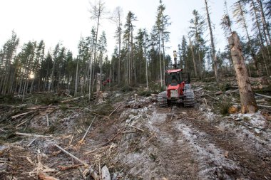 Ormanların yok edilmesi. Modern bir kırmızı hasat aracı dik bir dağ yamacında kozalaklı ağaçlar keser. Kışın taygada ağır ağaç kesme ekipmanları çalışır.