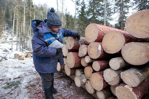 Kvinnan Mäter Avverkningen Och Skriver Ner Värdet Anteckningsbok — Stockfoto