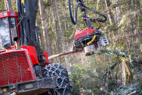 Gros Plan Moissonneuse Batteuse Automatique Coupé Tronc Arbre Deux Sur Photos De Stock Libres De Droits