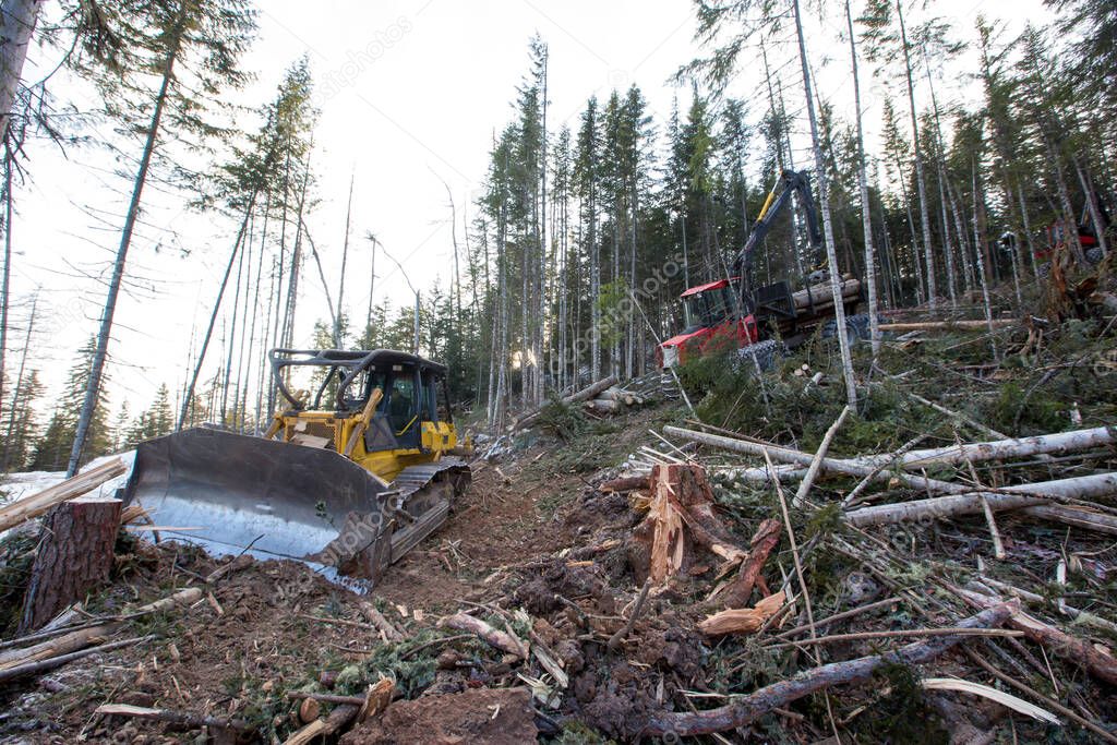 Allocated in the winter taiga, where conifers are cut down. A large yellow bulldozer clears forest clearings of small twigs and branches