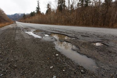 Kötü Rus asfalt yolu. Asfalt yol kurumuş sonbahar ağaçları arasındaki delik ve çatlaklarla dolu.