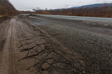 Kötü Rus asfalt yolu. Asfalt yol kurumuş sonbahar ağaçları arasındaki delik ve çatlaklarla dolu.