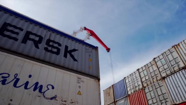 Wladiwostok Russland 2020 Sommer Seecontainerterminal Ein Großer Portalkran Steht Vor — Stockvideo