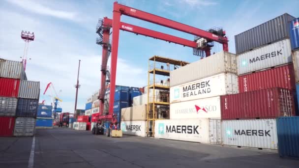 Vladivostok Russia 2020 Summer Sea Container Terminal Heavy Truck Drives — Stock Video