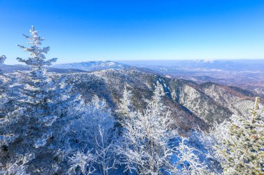 Güzel kış manzarası. Karla kaplı dağların zirveleri sabah sisinde gömülüdür.