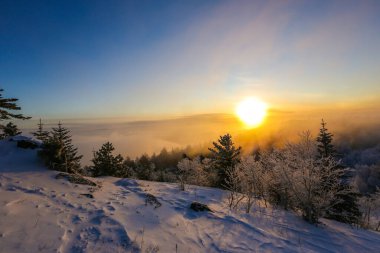 Güzel kış manzarası. Güneş ufukta pudralanmış kış ağaçlarının arka planında karlı bir dağın tepesinde batıyor.