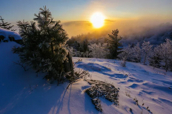 Hermoso Paisaje Invierno Sol Pone Debajo Del Horizonte Contra Telón —  Fotos de Stock